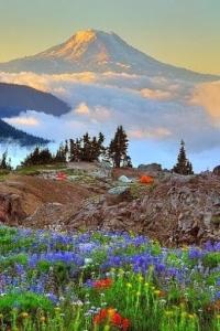 Mt Adams Washington MM
